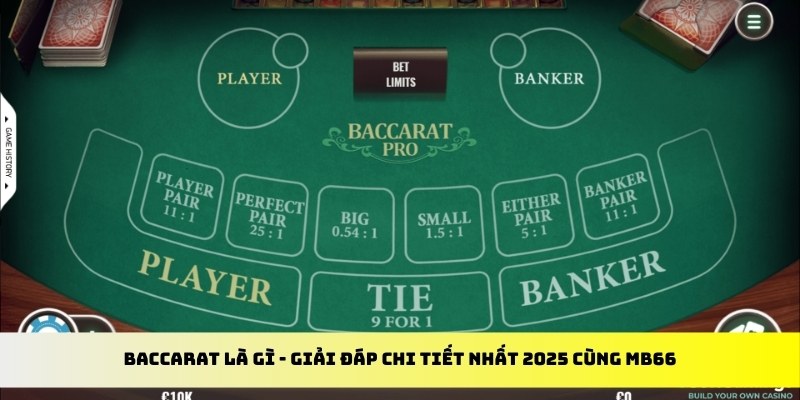 wynn08 gà chọi cu cần