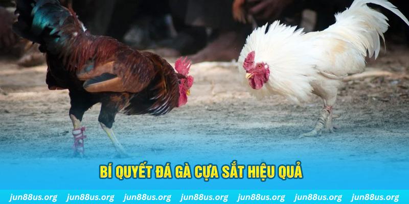wynn08 xin 1 slot là gì