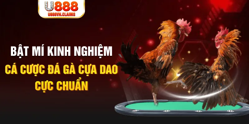 wynn08 tỷ lệ cá cược châu á là gì