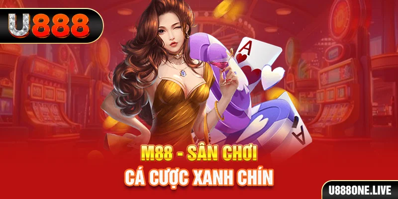 wynn08 xổ số miền nam hàng tuần