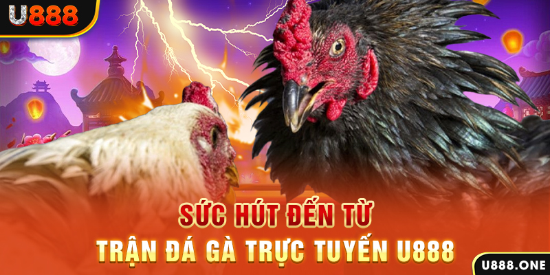 wynn08 nổ hũ b29 là gì