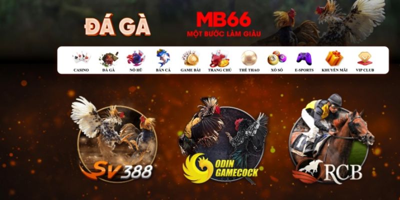 wynn08 đăng nhập poker số 1