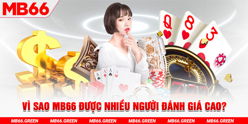 wynn08 đá gà