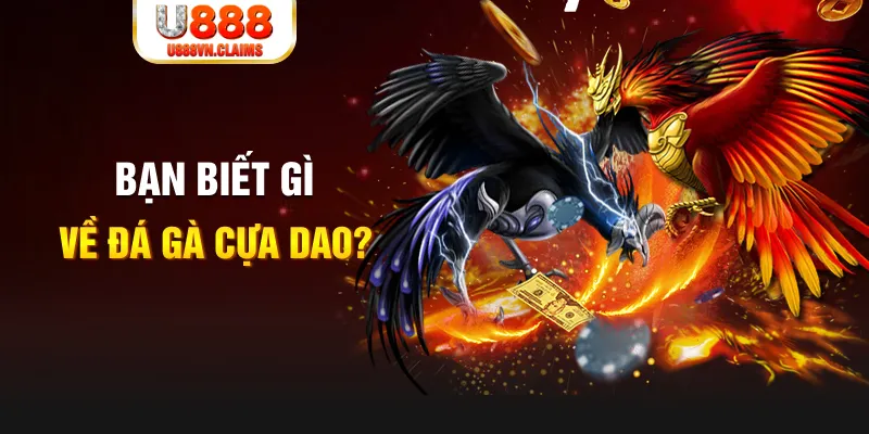 wynn08 nổ hủ là gì