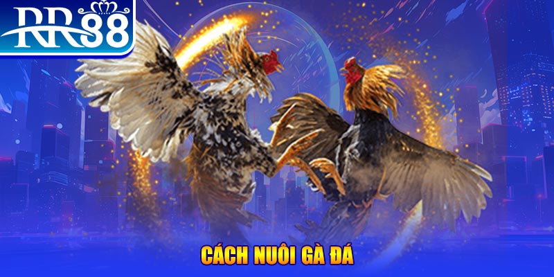 wynn08 xổ số an giang