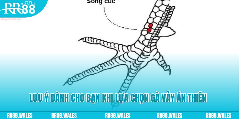 wynn08 xổ số đồng nai