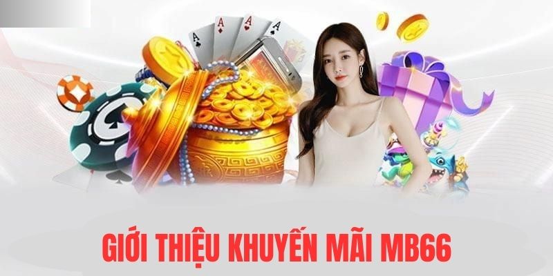 wynn08 Đĩa màu ace