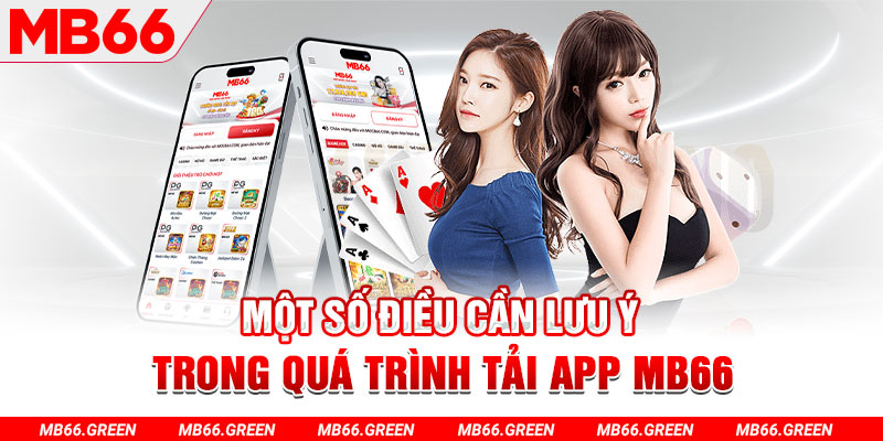 wynn08 c1 gà chọi