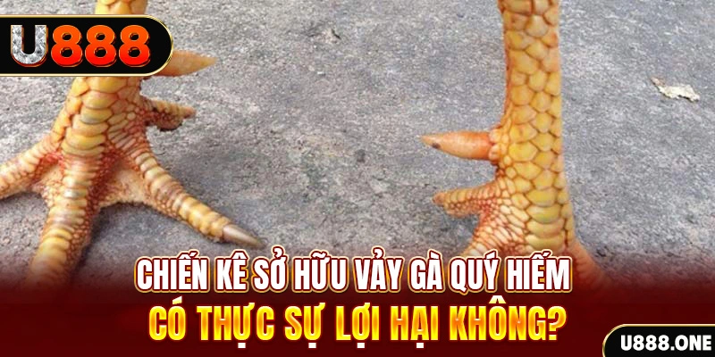wynn08 nohu .mx nổ hủ là gì