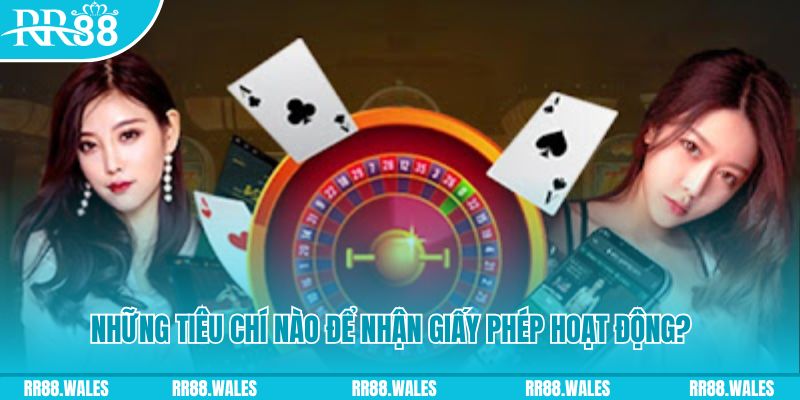 wynn08 hơn cả bạn bè