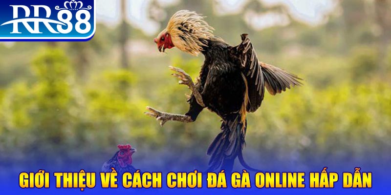 wynn08 game nổ hũ rút tiền mặt là gì