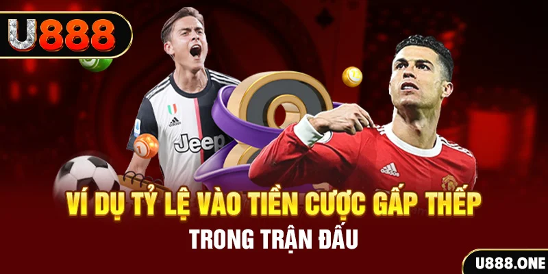 wynn08 kết quả xổ số 30 ngày