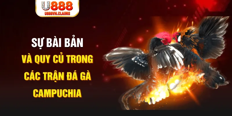 wynn08 YGR Điện Tử