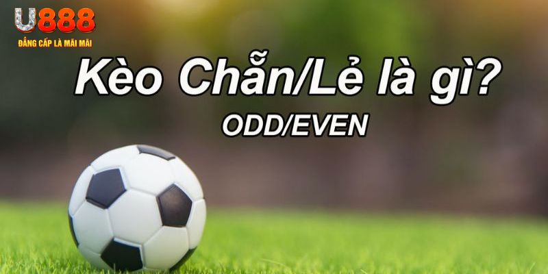wynn08 đăng nhập poker hôm nay