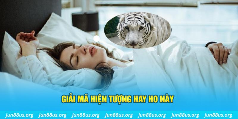 wynn08 đăng nhập nổ hũ uy tín