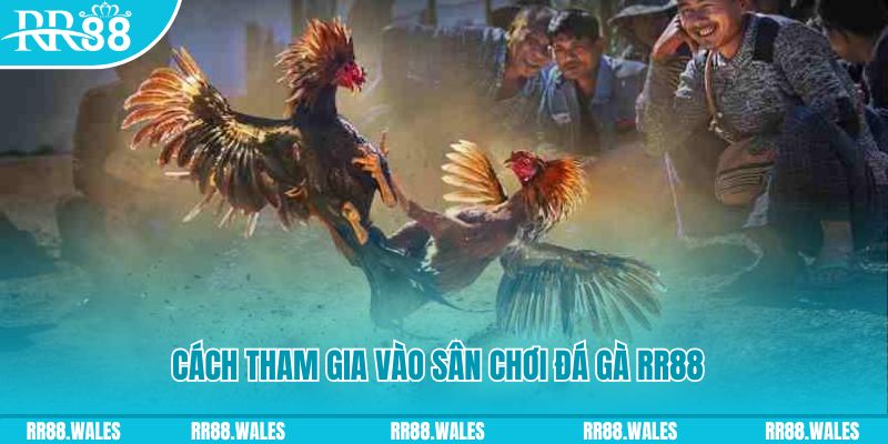 wynn08 chơi nổ hũ kiêng kỵ gì