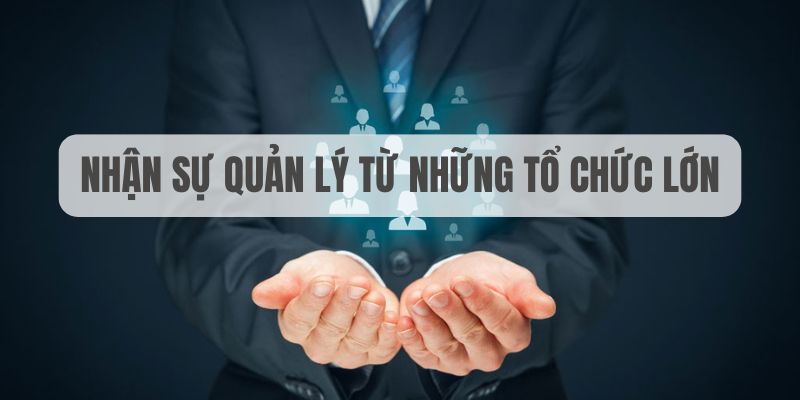 wynn08 đăng nhập sòng bạc uy tín