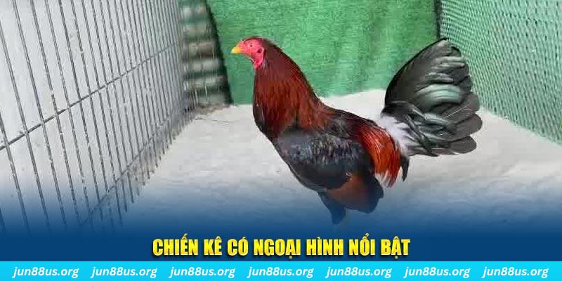 wynn08 chạy quảng cáo cho game bài bị phạt như thế nào