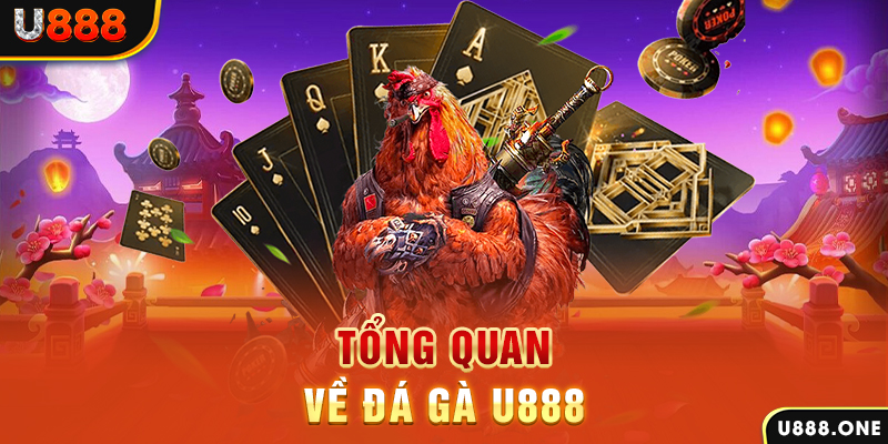 wynn08 ILOVEU Điện Tử