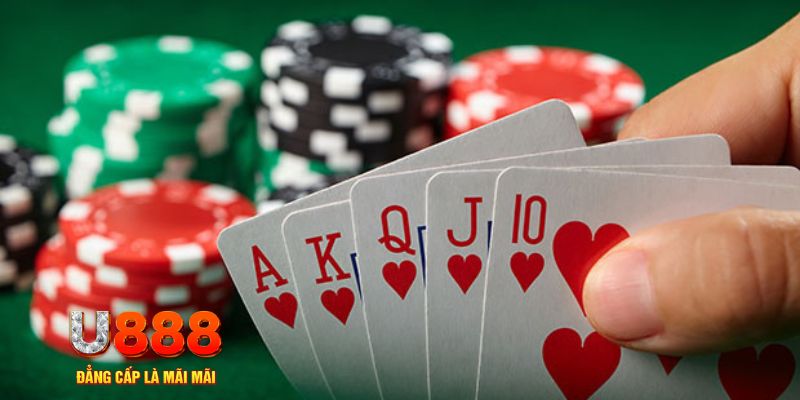 wynn08 đá gà trực tiếp thomo 67