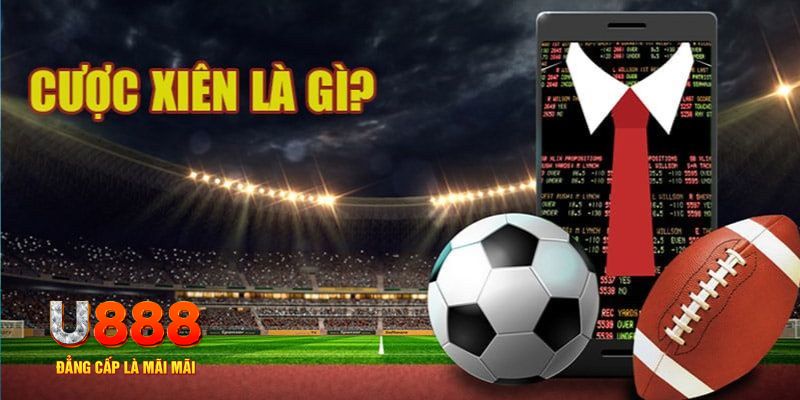 wynn08 slot nghĩa la gì